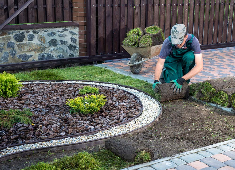 Arbeiter legt Rollrasen im Gartenbereich